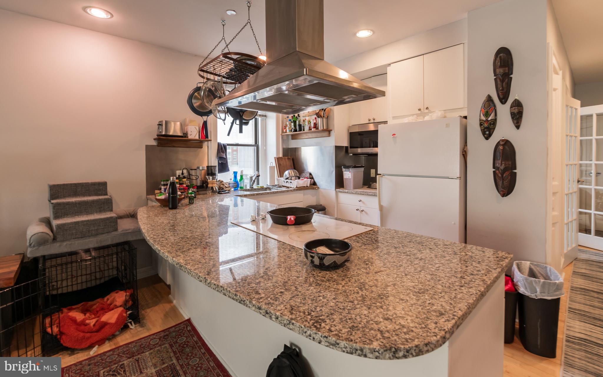 1920 CHESTNUT ST #8N