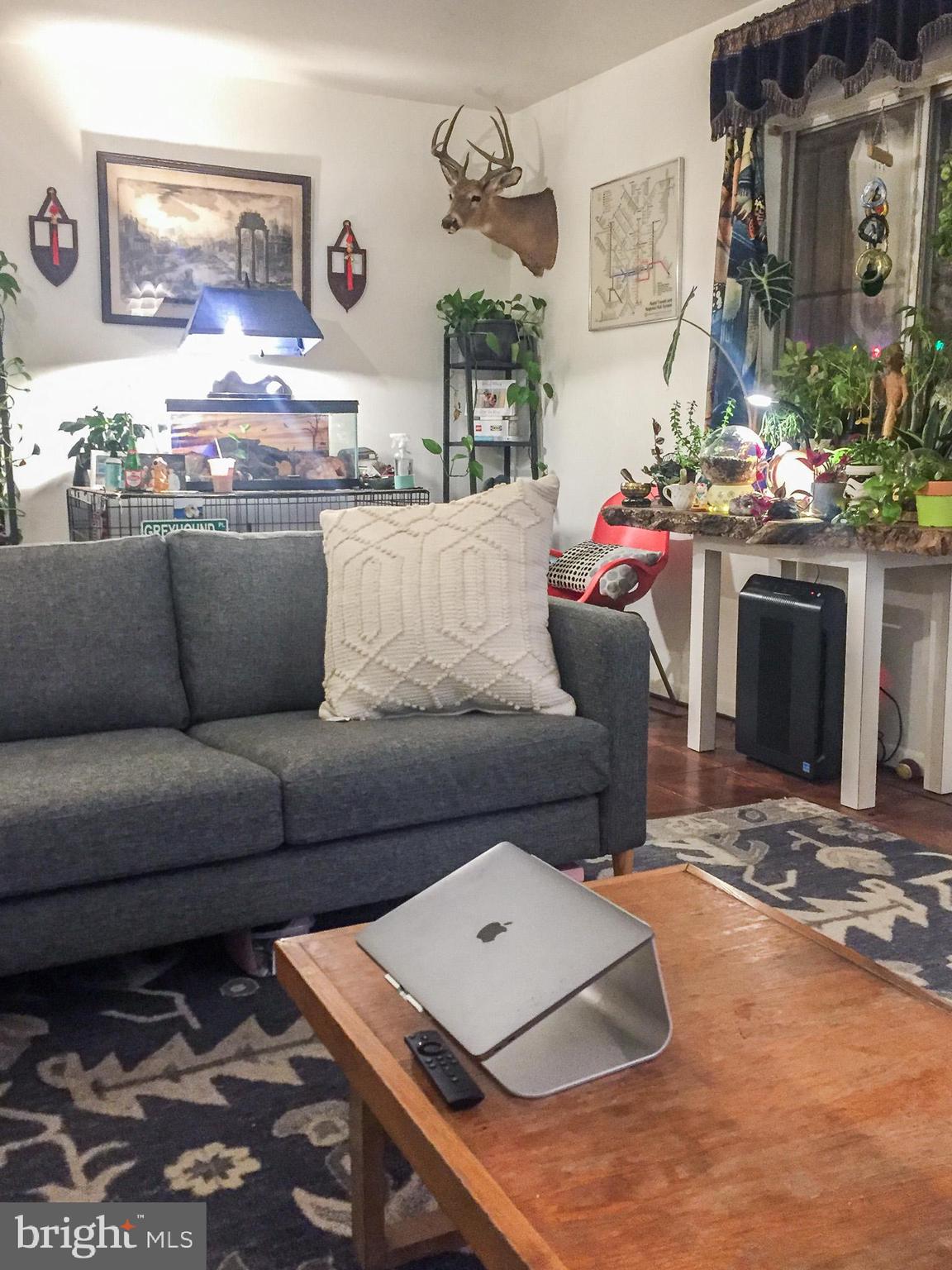 1136 SOUTH ST #UNIT A