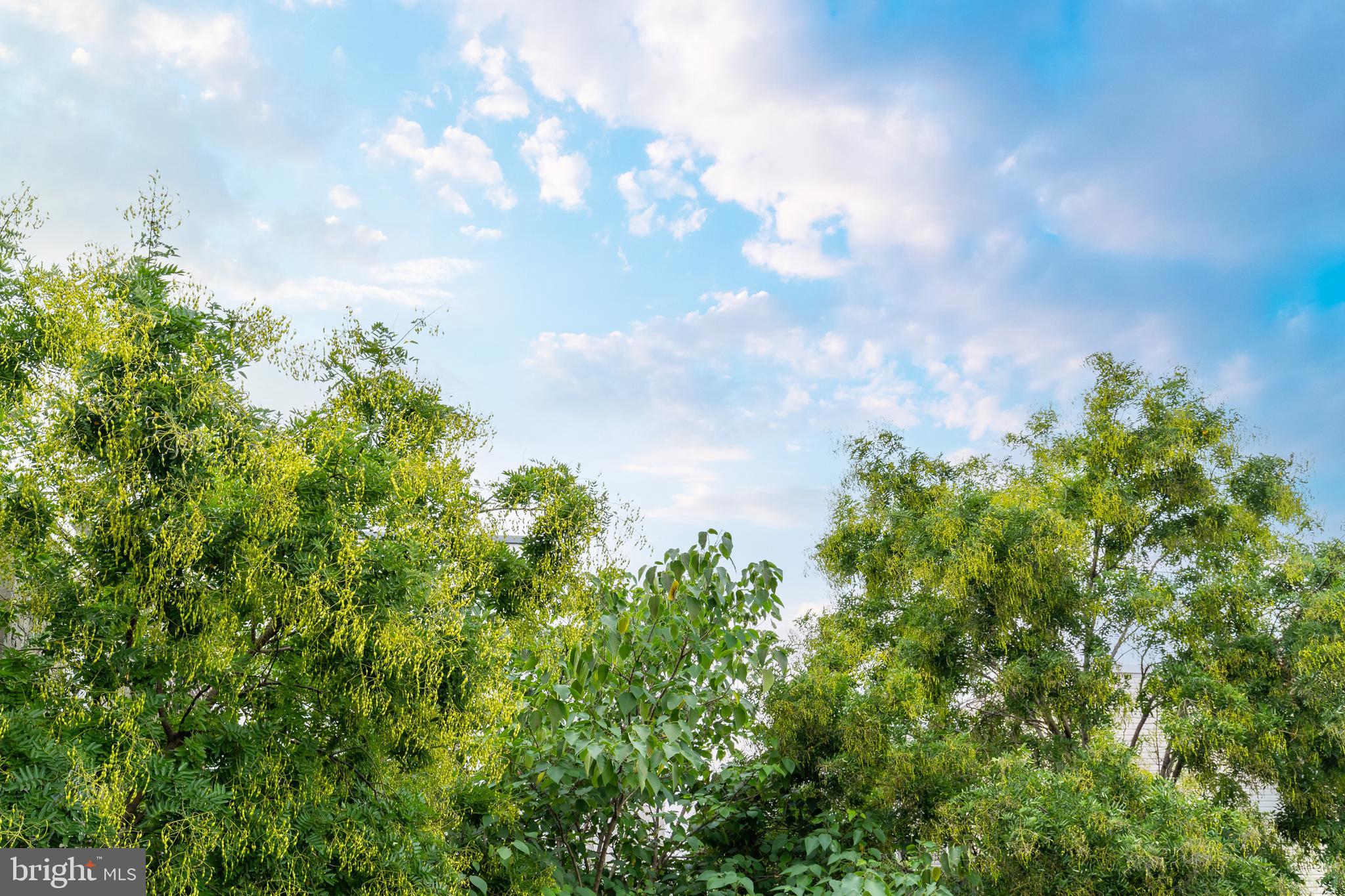 2825 W GIRARD AVE #UNIT 202