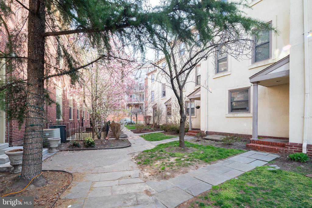 2501 CHRISTIAN ST #204