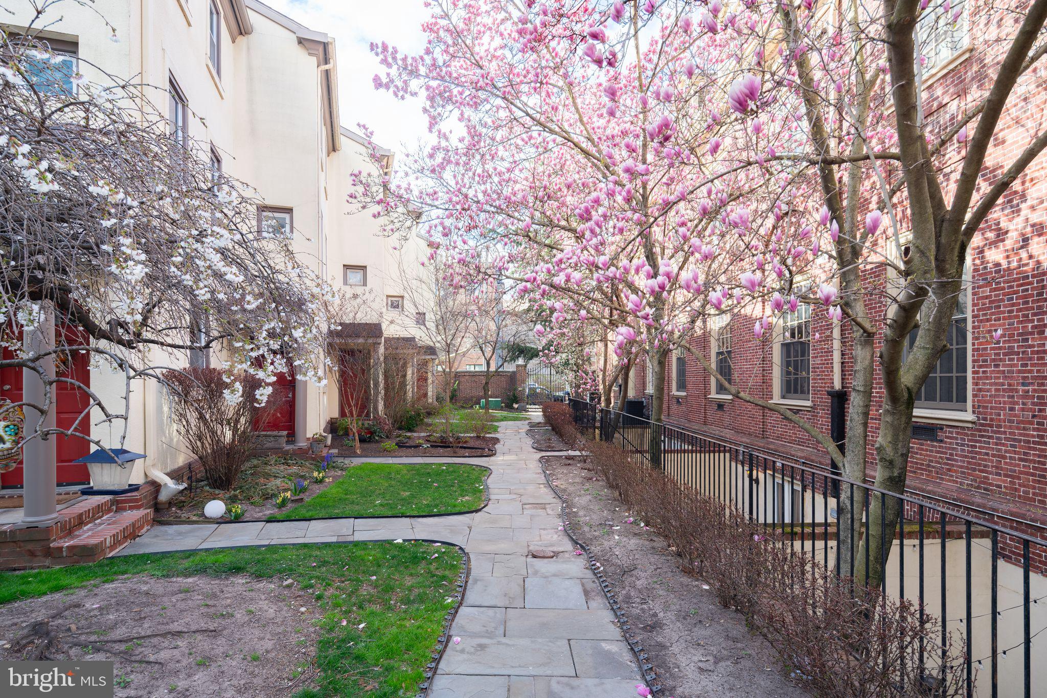 2501 CHRISTIAN ST #204