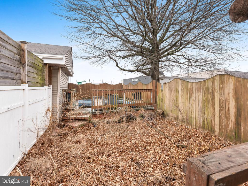 3557 Tulip St