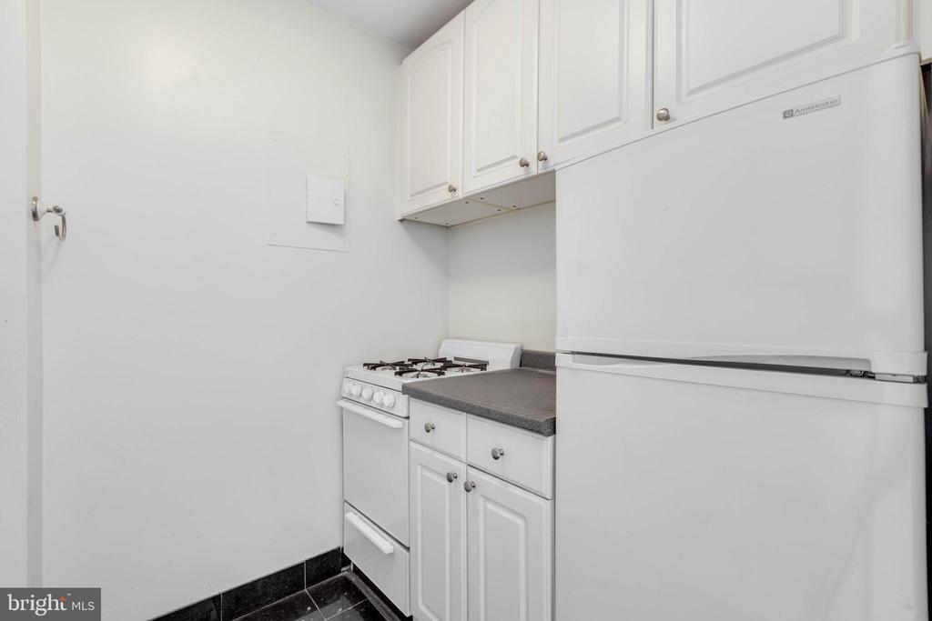 200 LOCUST ST #15EN