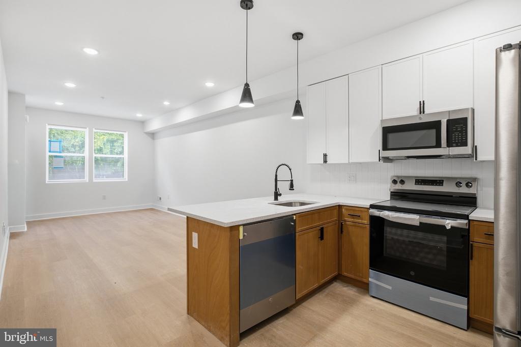 1230 W YORK STREET Unit: 1