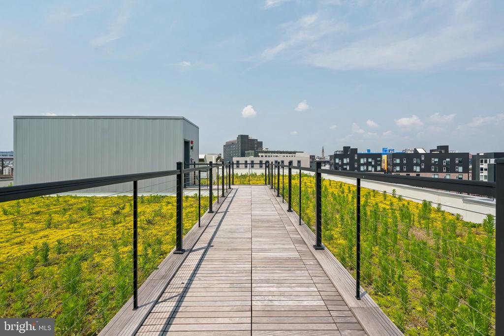 1122 FRANKFORD AVENUE Unit: 219