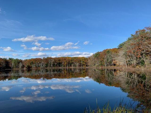 38 Pine Mountain Road