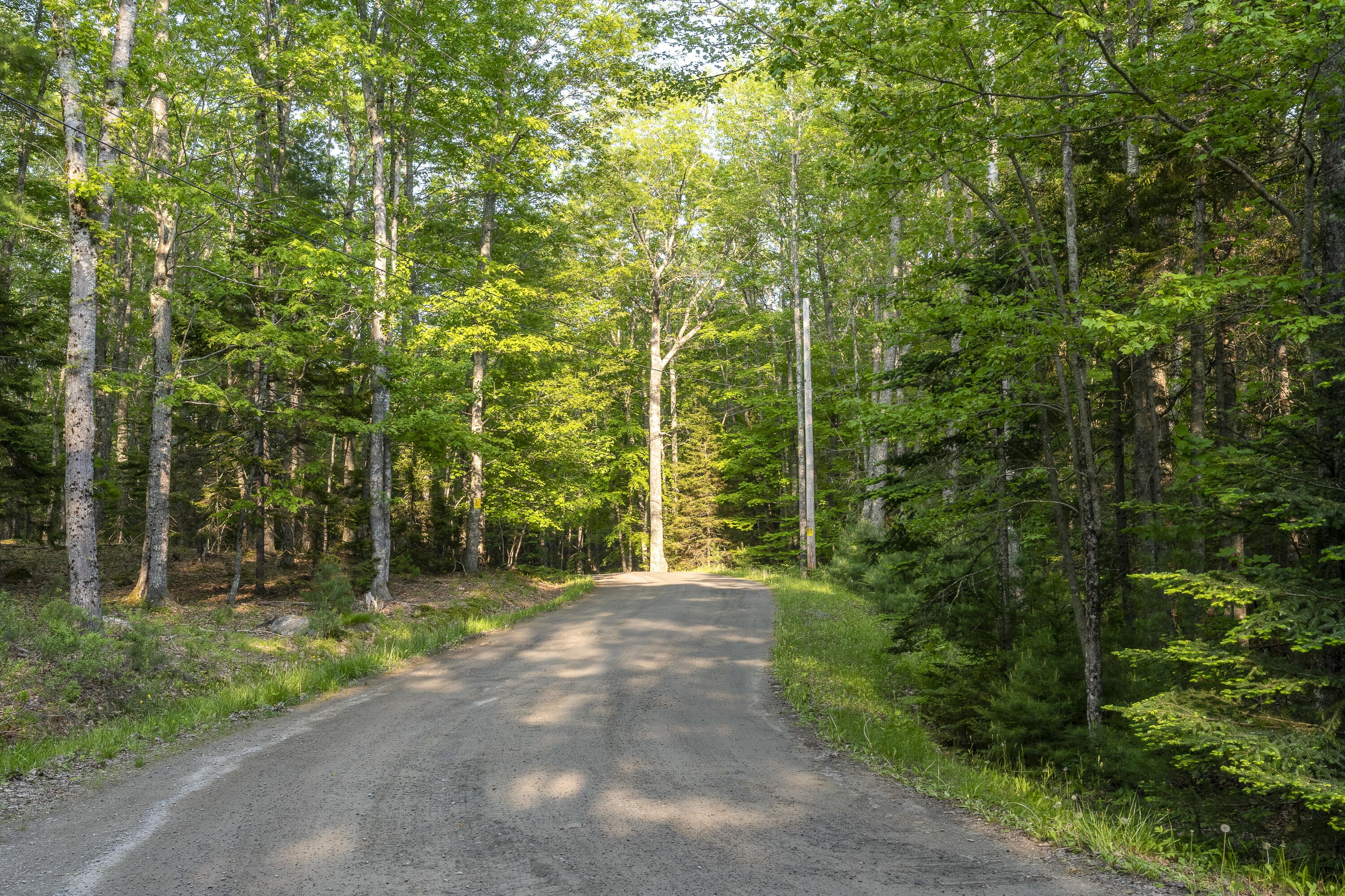 Lot 6 Whale Rock Road