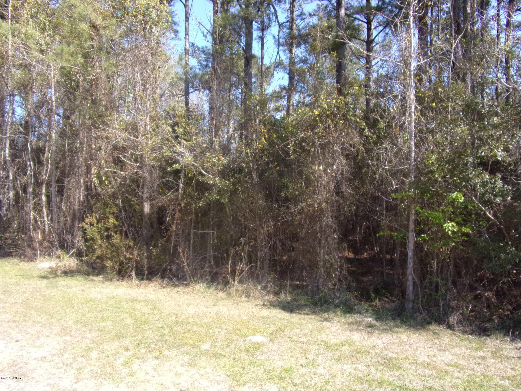 115 Cartuca Trail