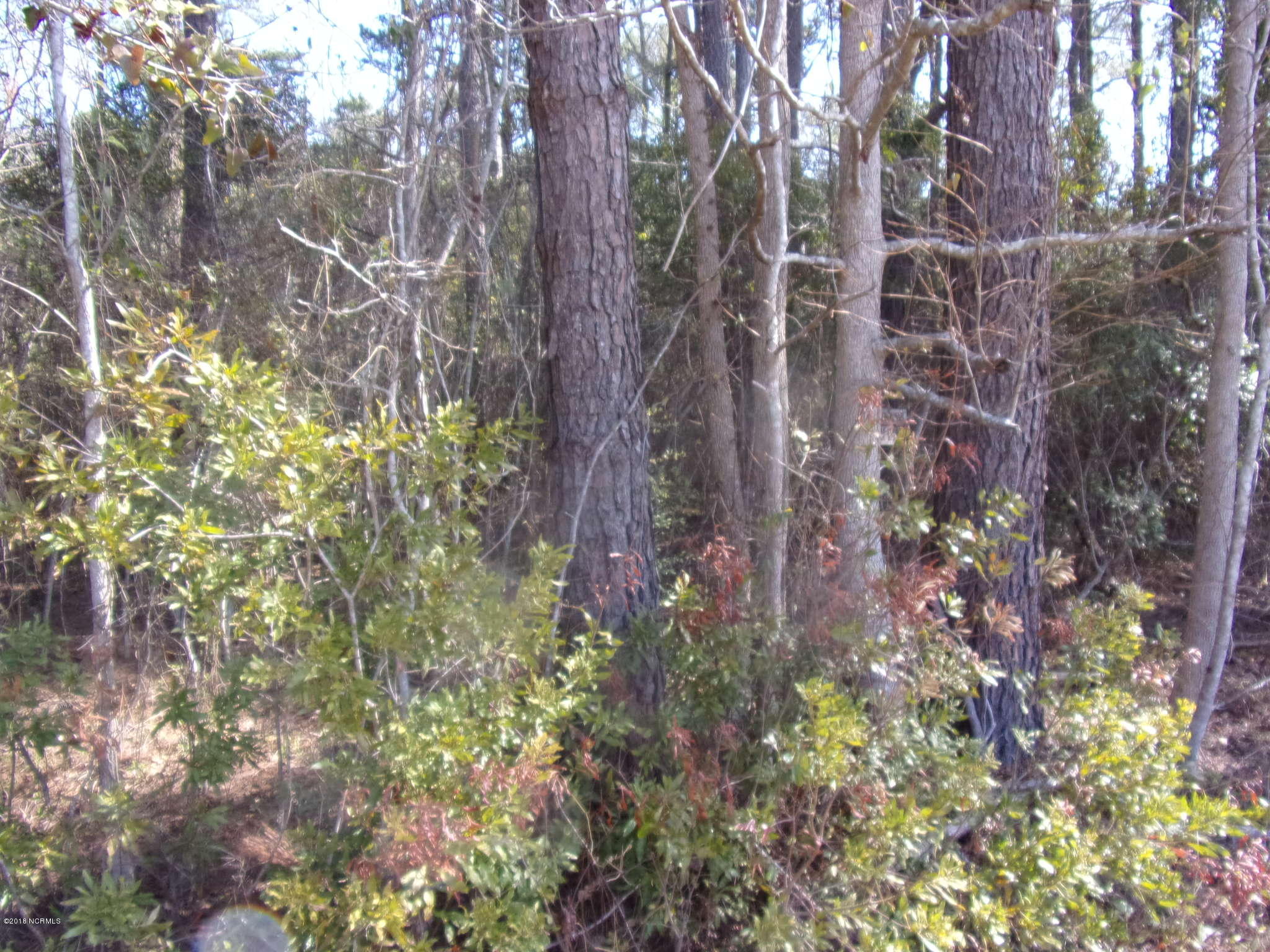115 Cartuca Trail