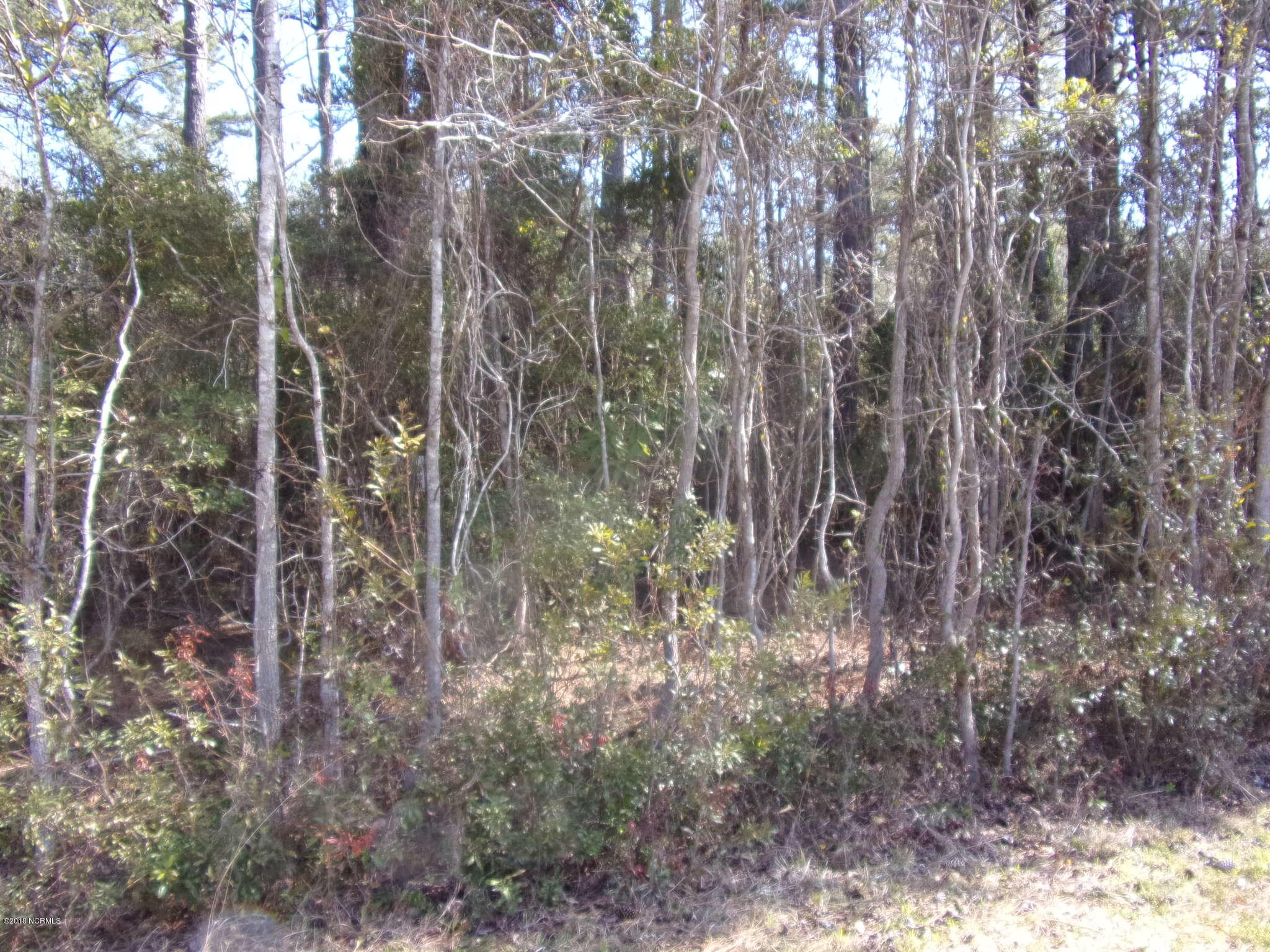 115 Cartuca Trail