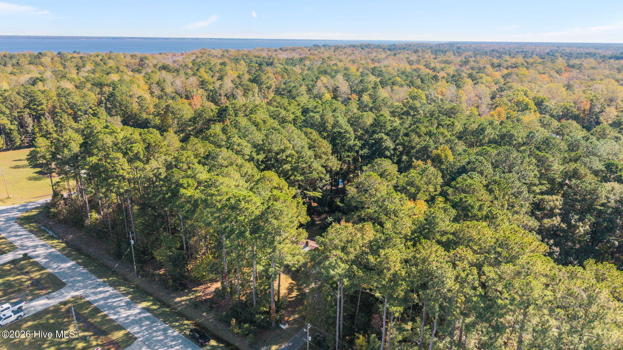 520 Stately Pines Road