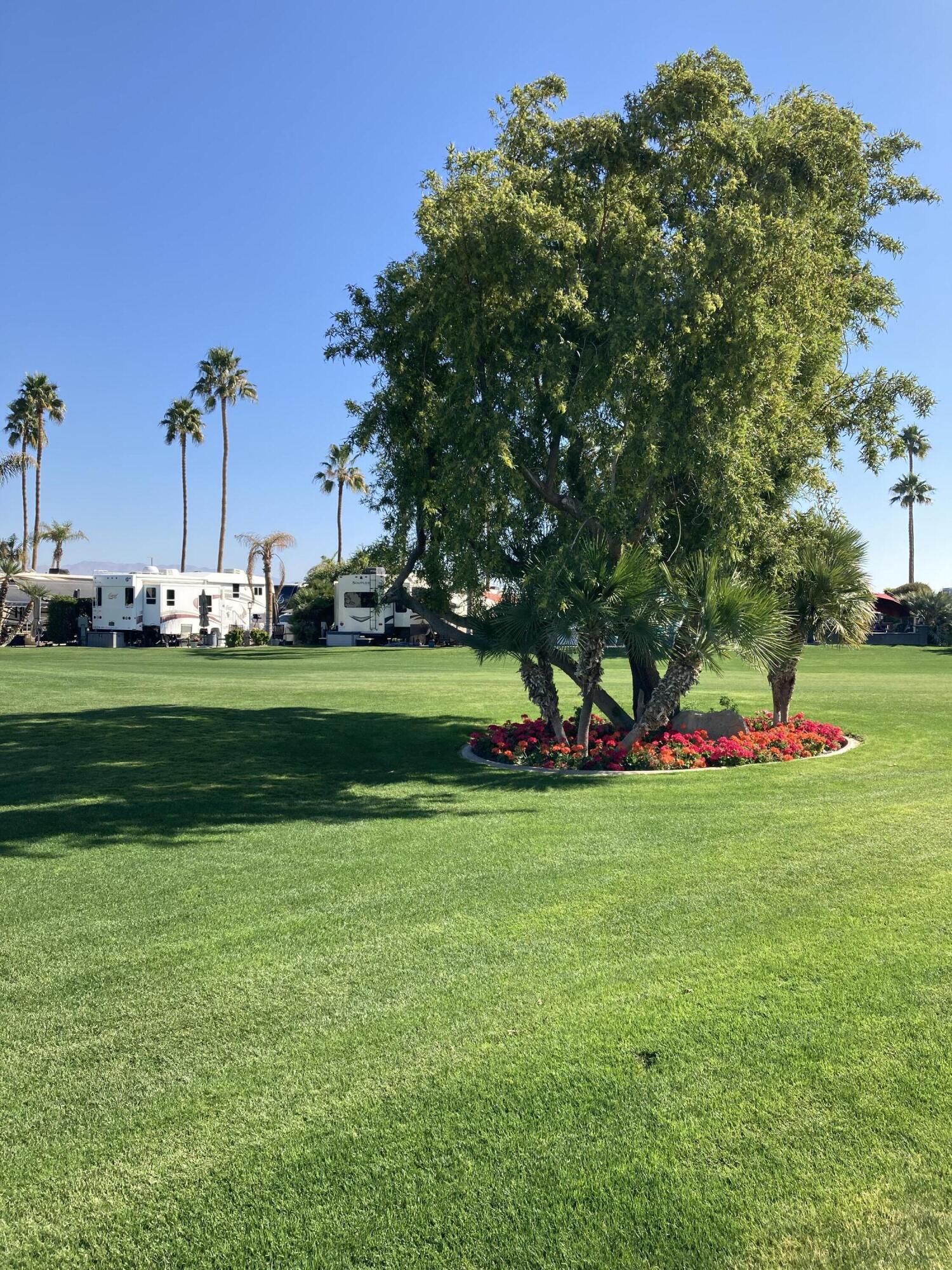 69411 Ramon RD Unit: 1212