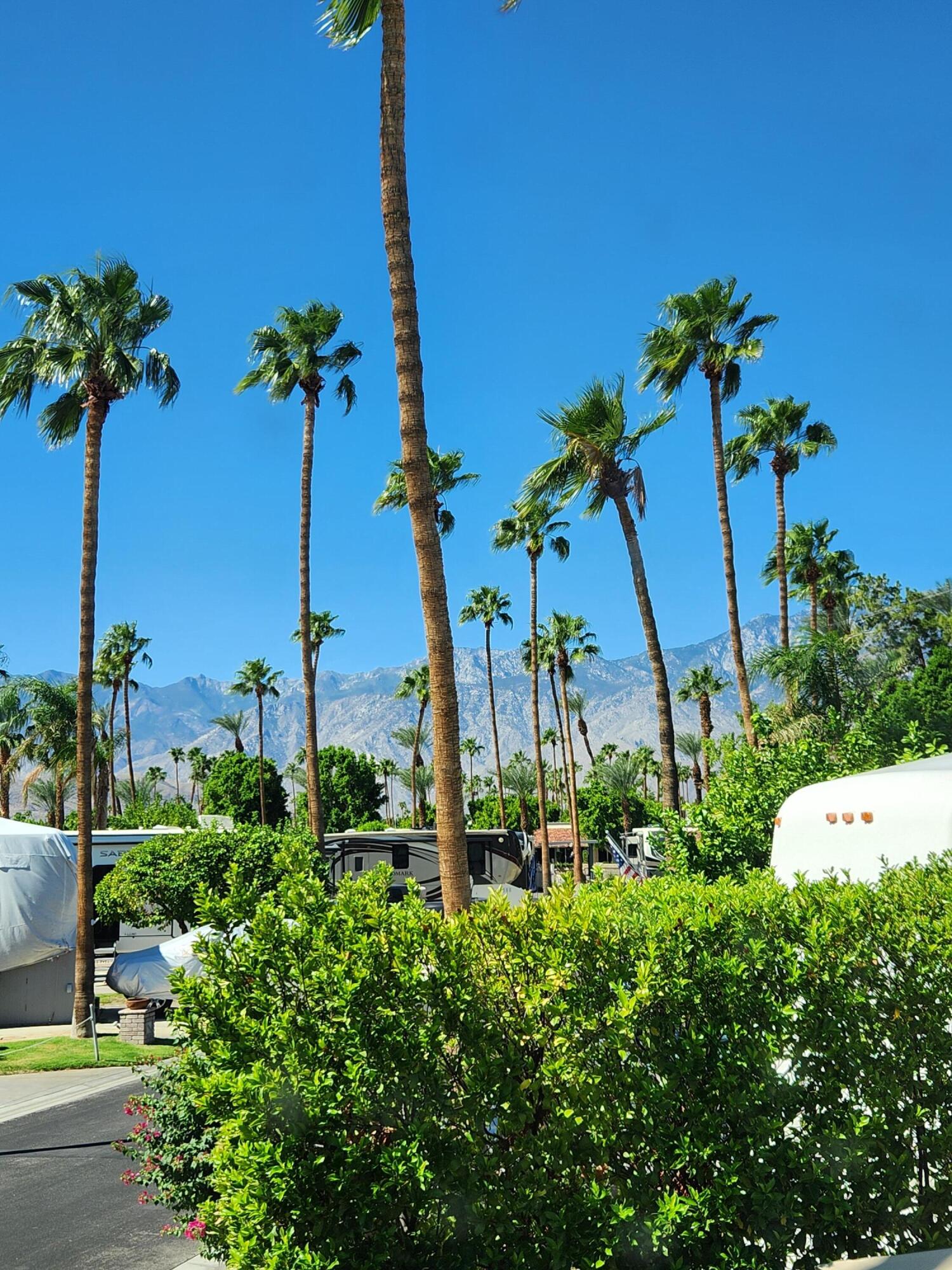 69411 Ramon RD Unit: 582