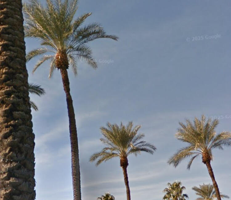 69411 Ramon RD Unit: 1117