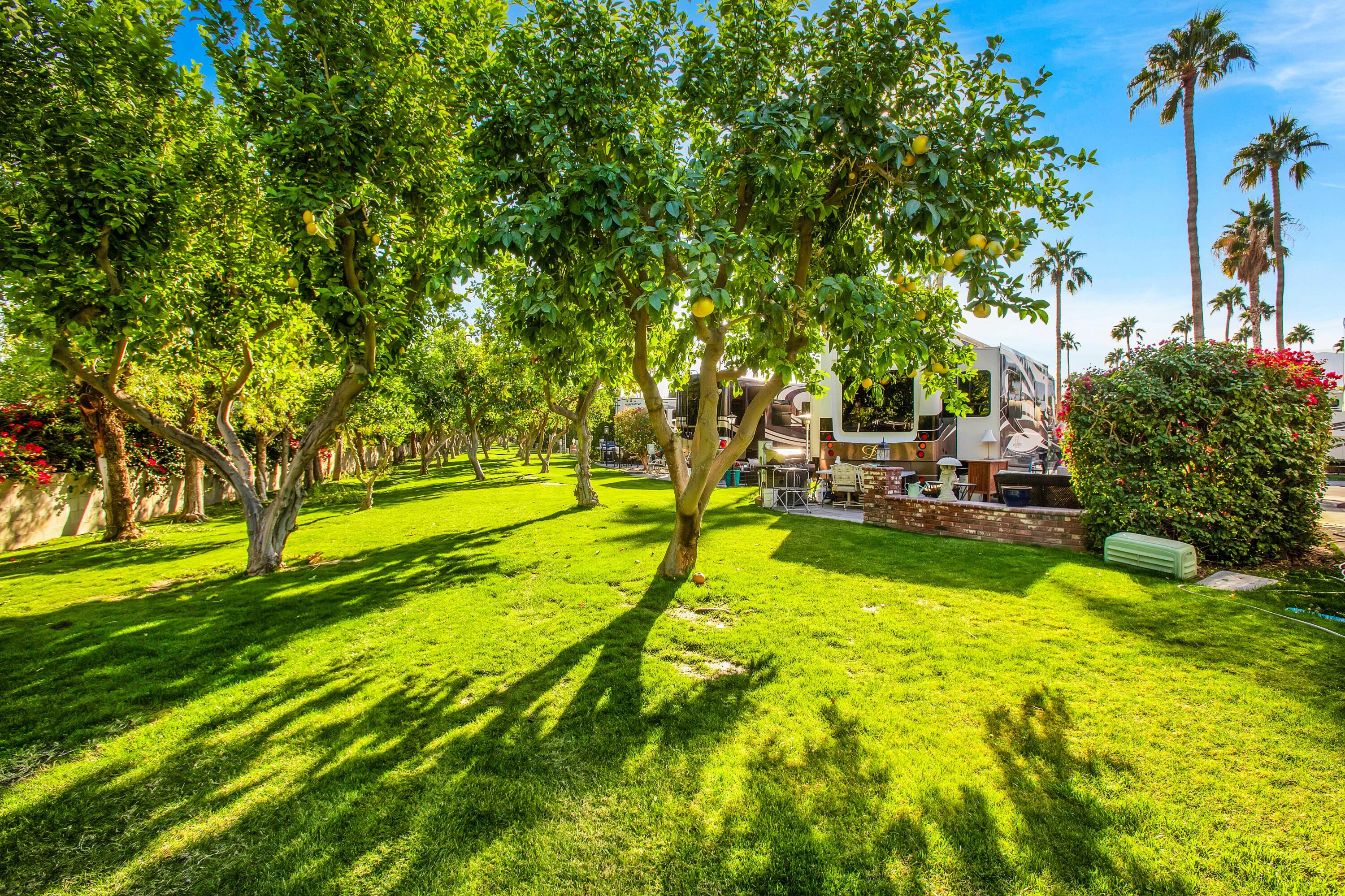 69411 Ramon Rd #562