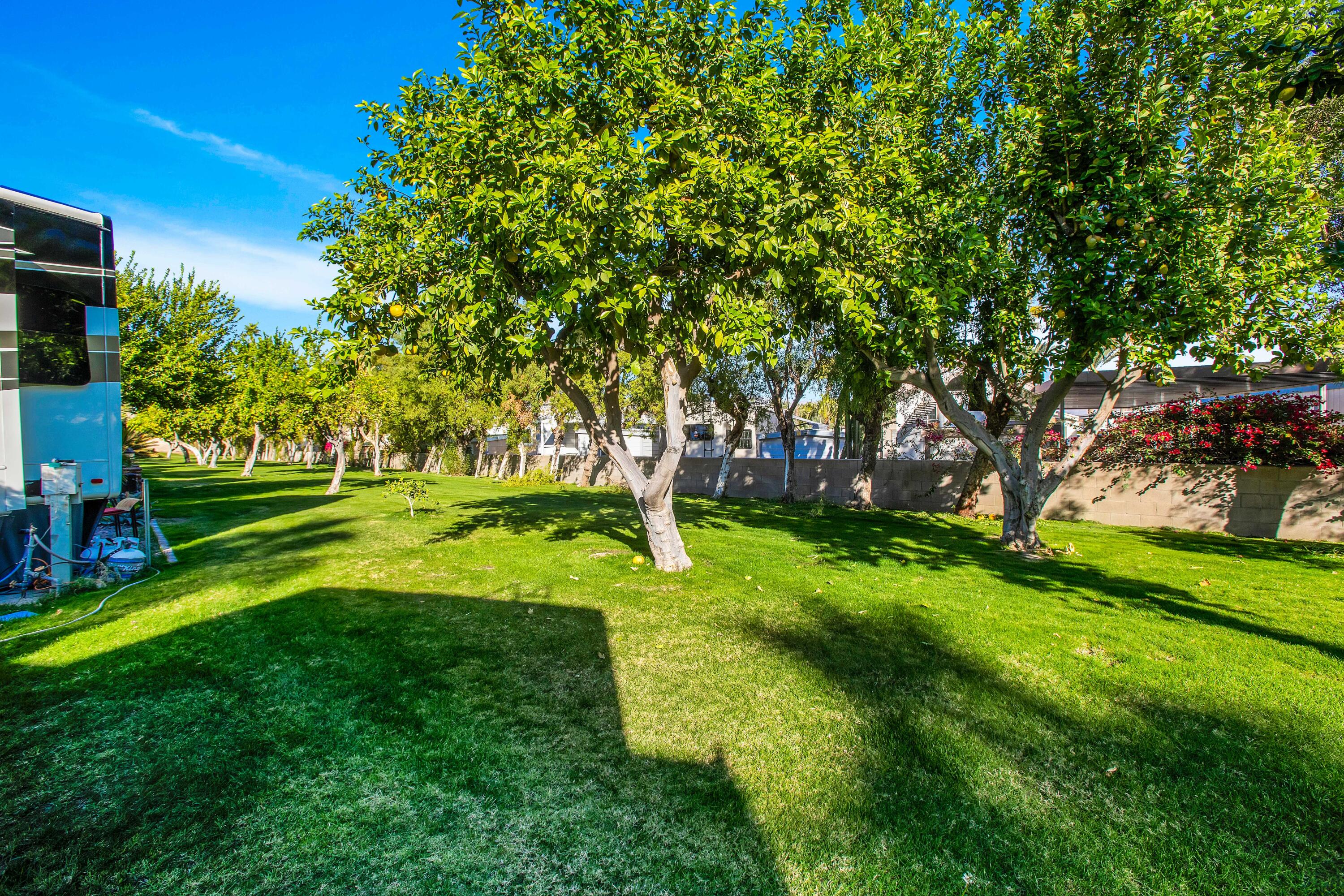 69411 Ramon Rd #562