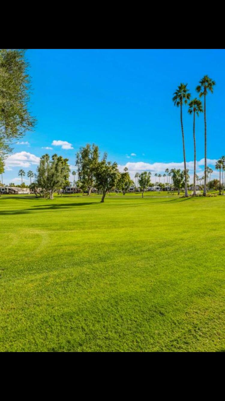 69411 Ramon RD Unit: 1115