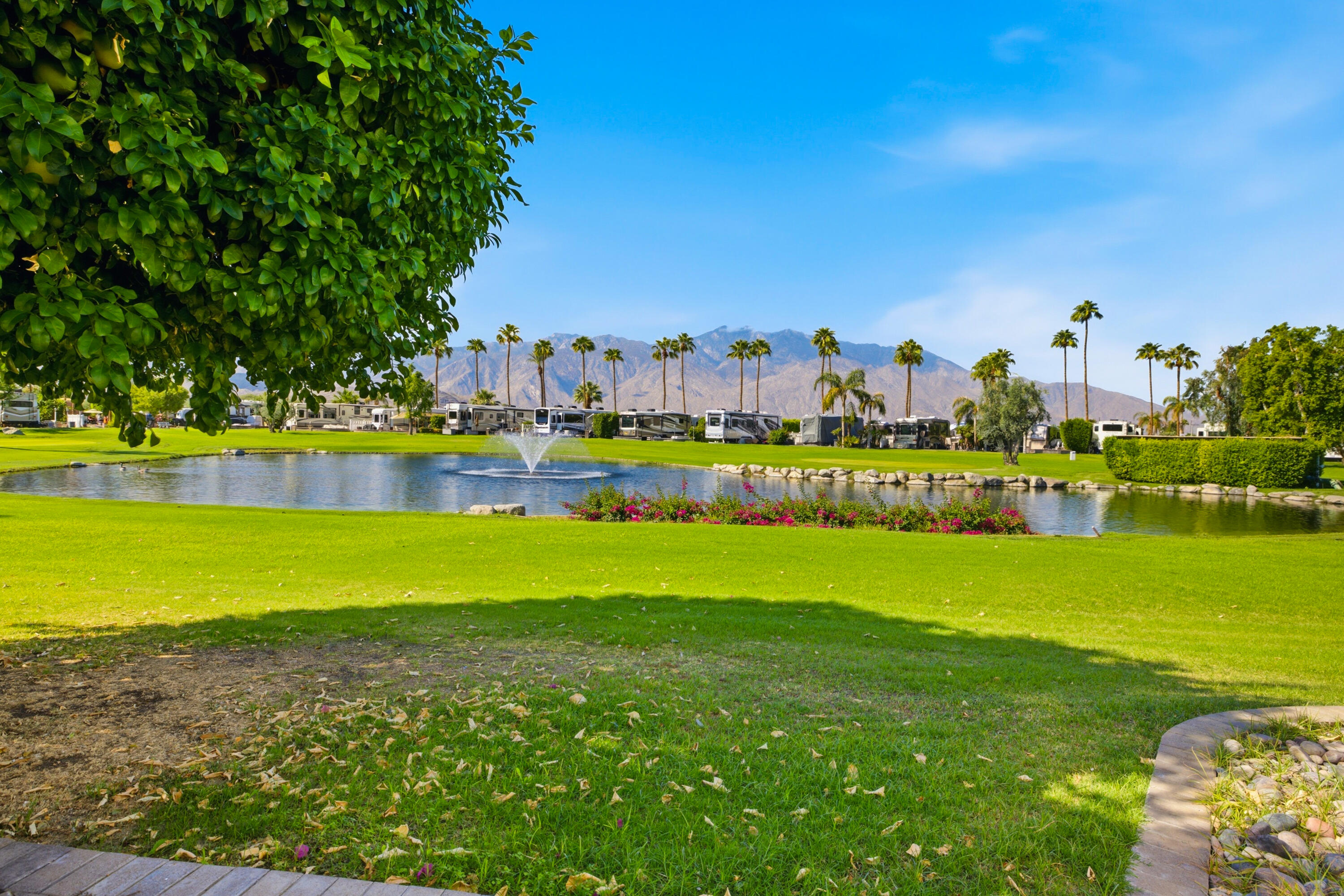 69411 Ramon RD Unit: 1107