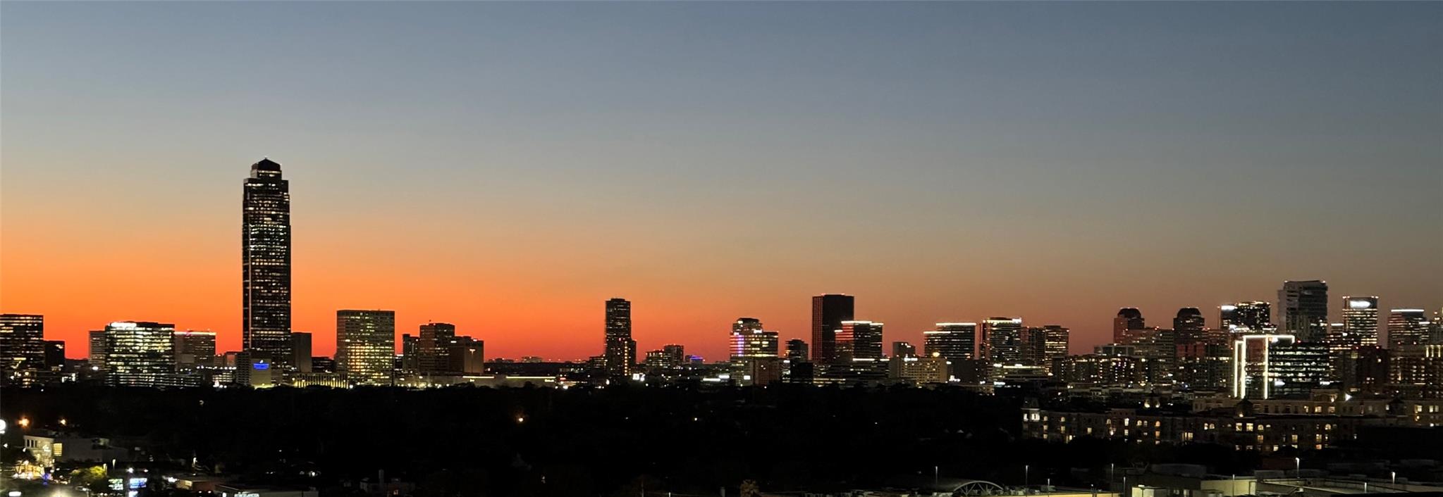 14 Greenway Plaza # 15L