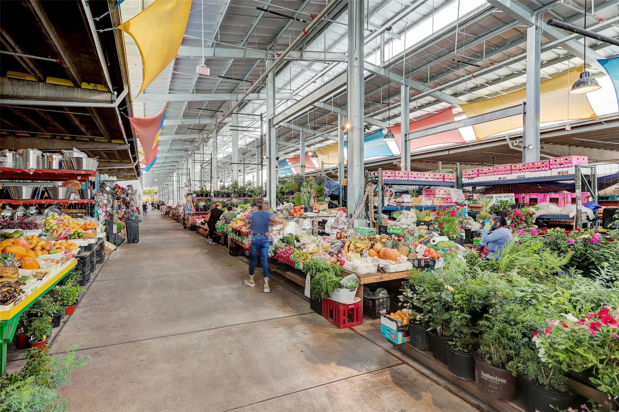 738 Redwing Place Drive