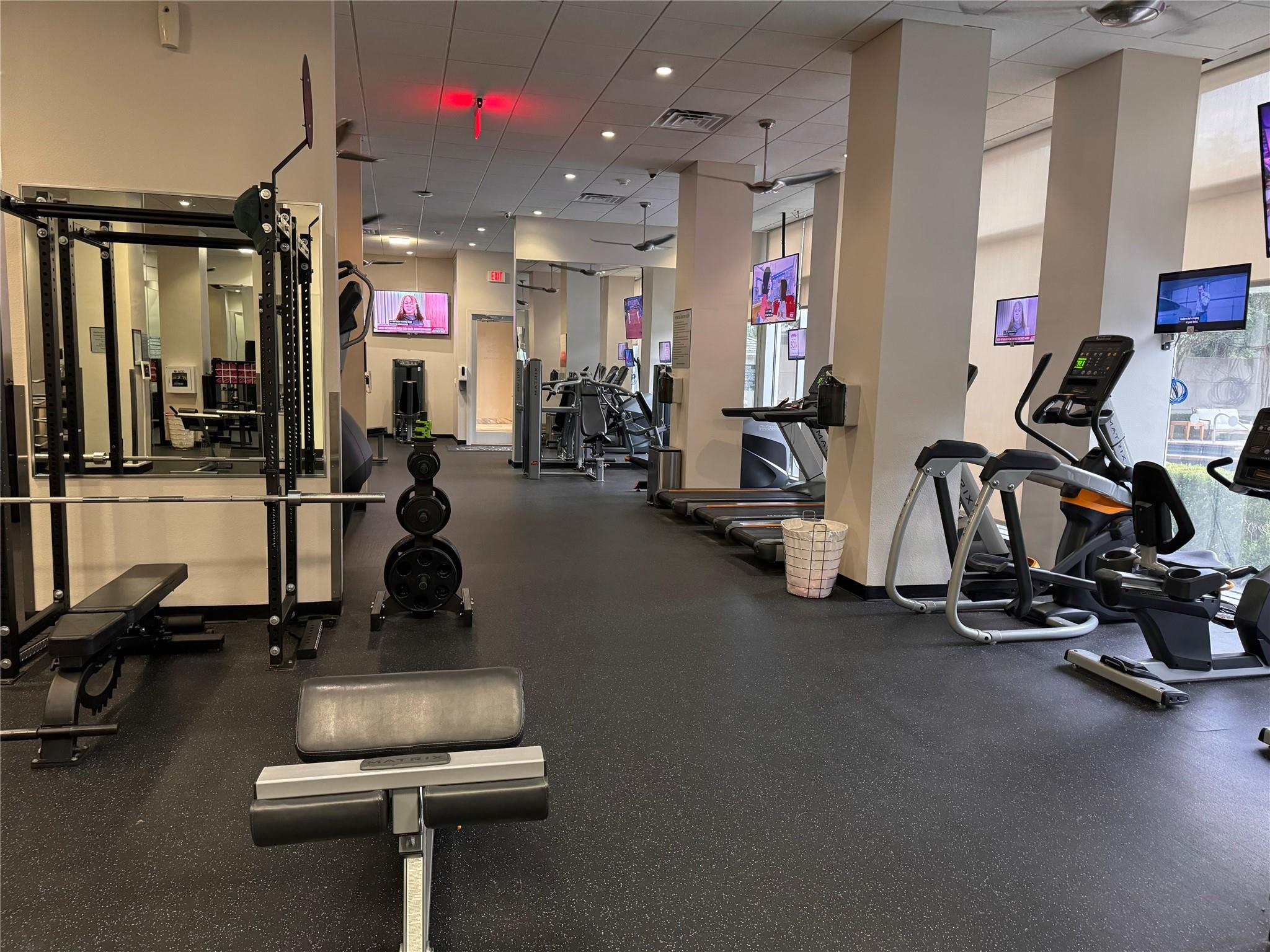 3333 Allen Parkway # 3003