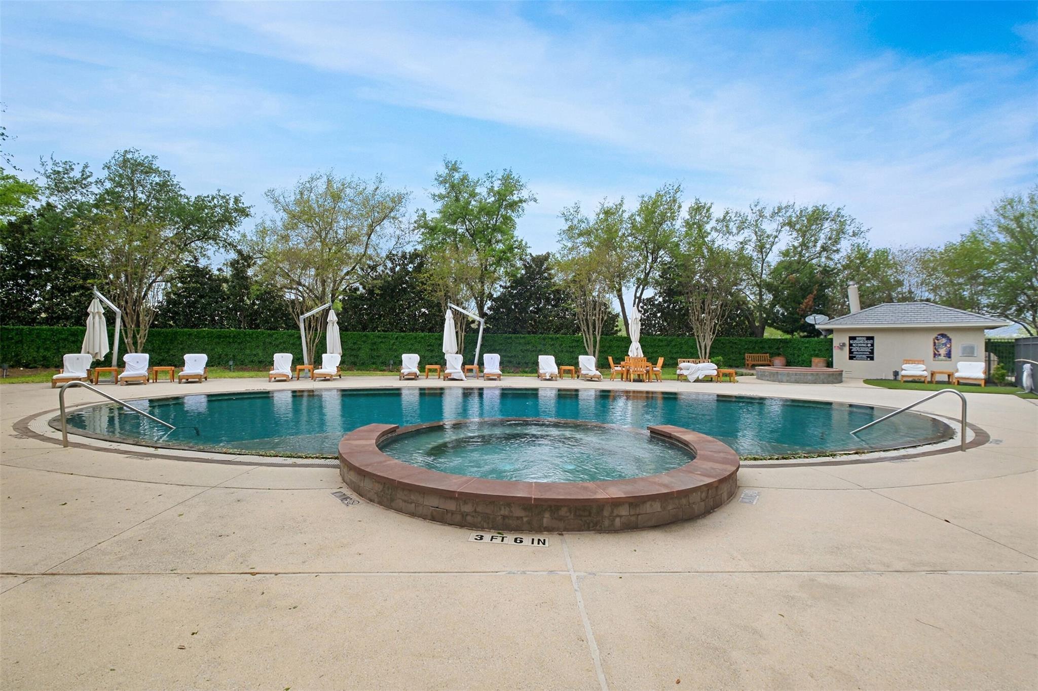 3333 Allen Parkway # 3003