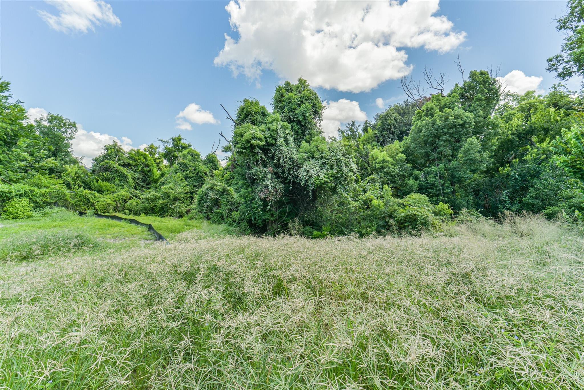 2436 White Oak