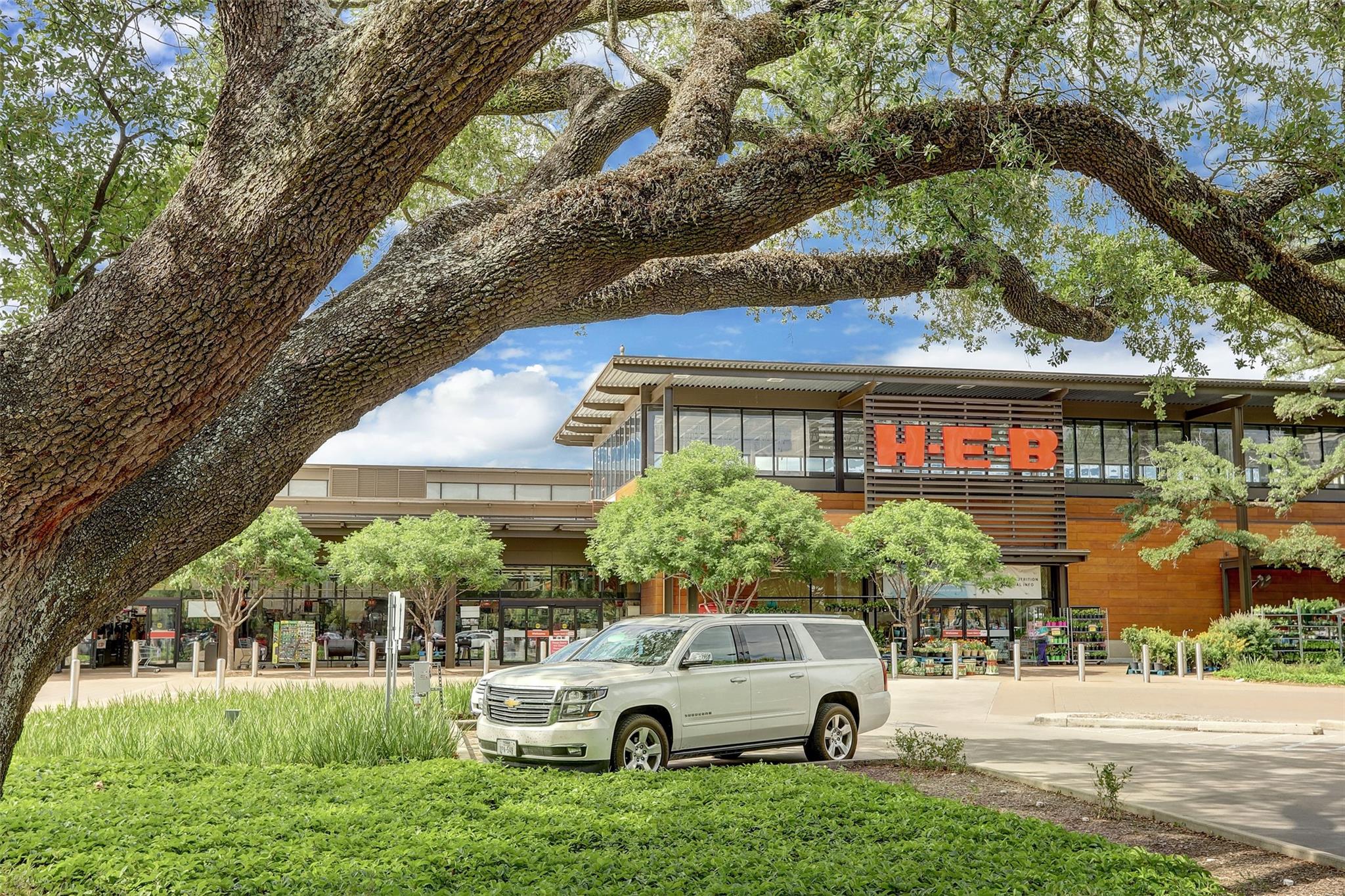 H-E-B grocery store behind a large oak tree, with a white SUV parked outside.