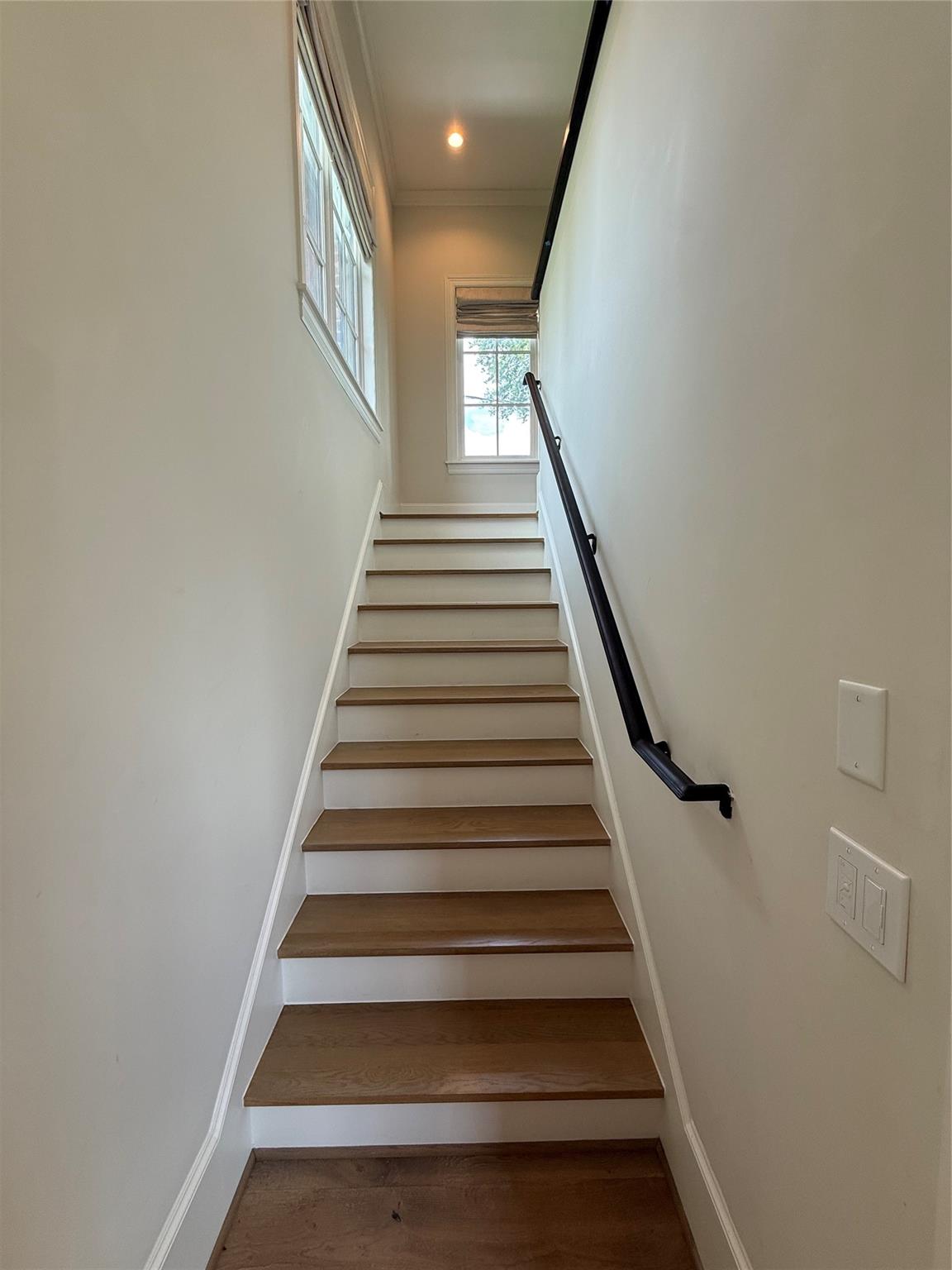 2506 Blue Bonnet Boulevard