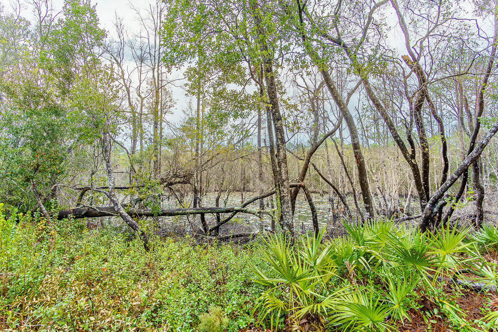 359 Wayne Trail