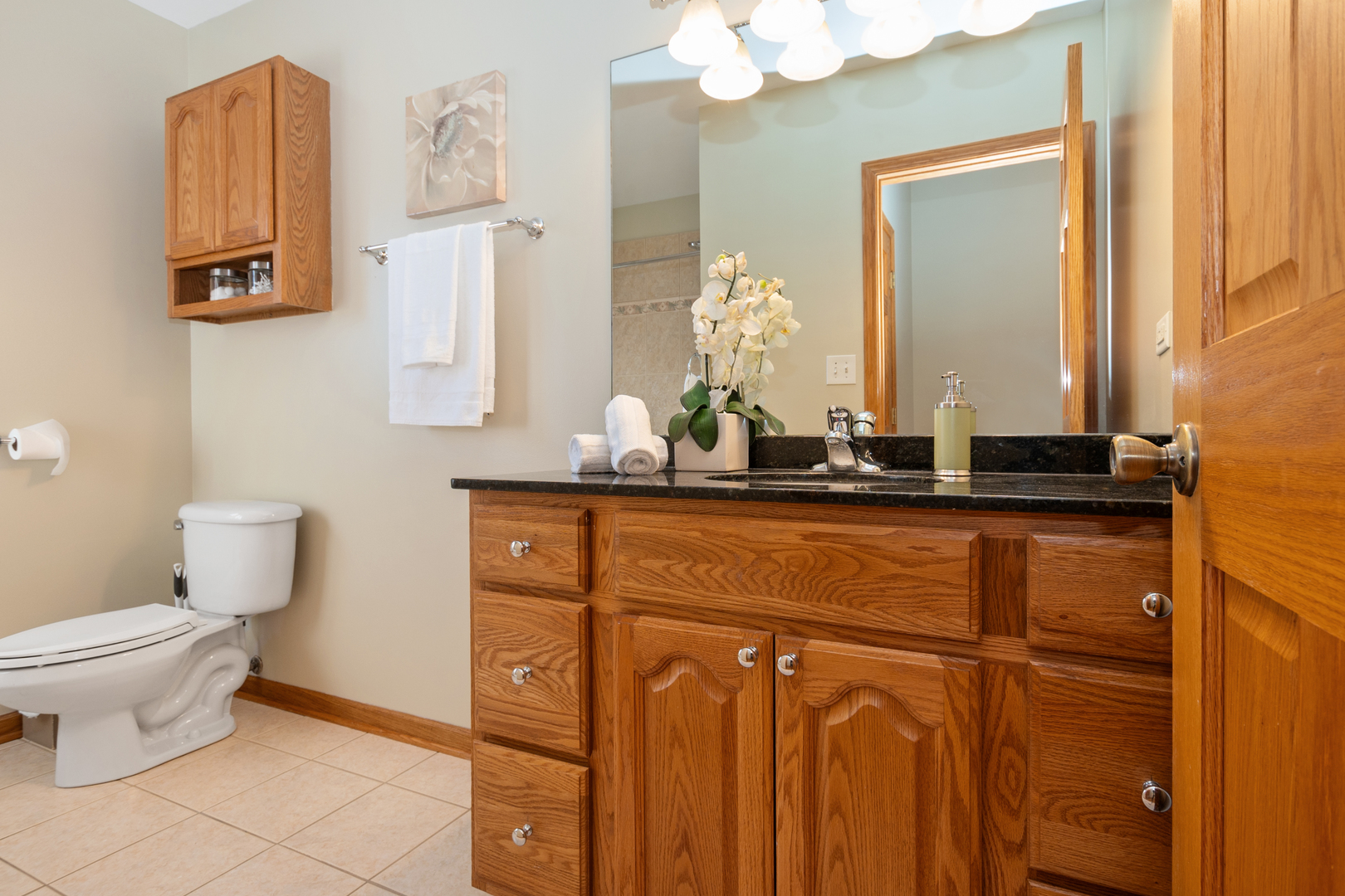 10319 S Millard Avenue