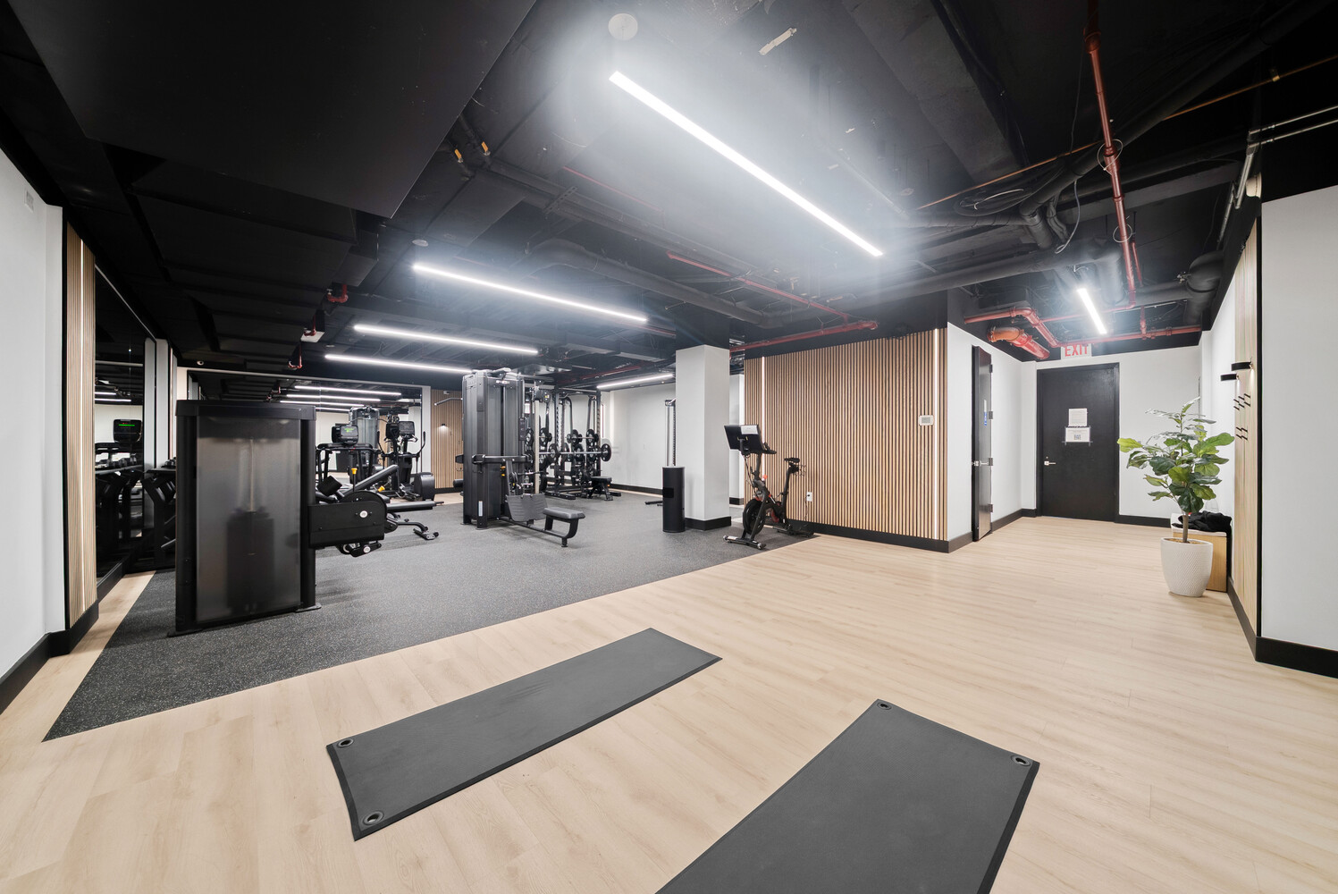 254 PARK Avenue S 5P