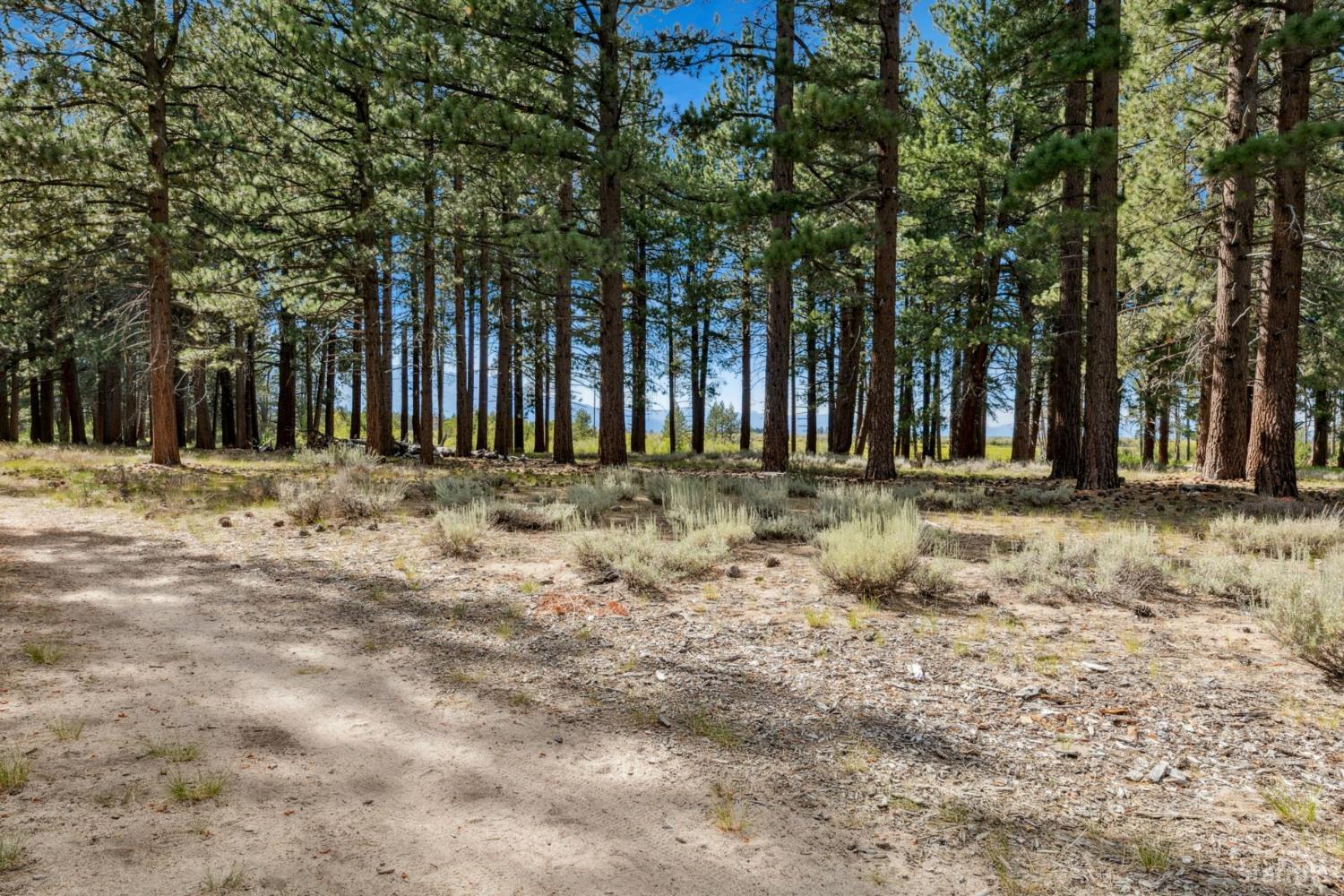 2913 Springwood Drive