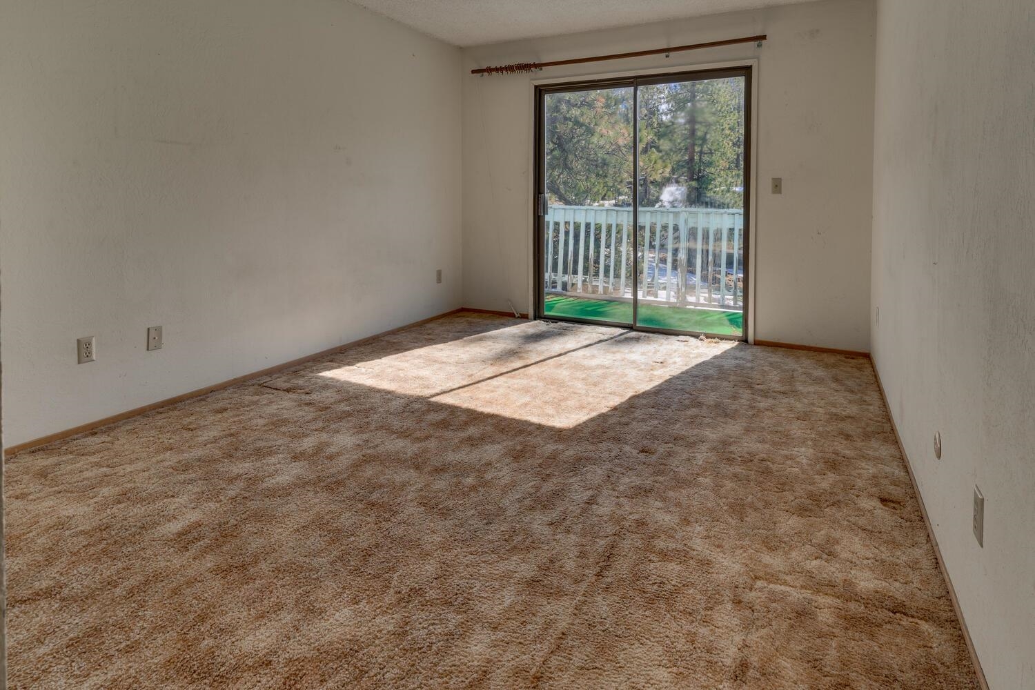 3770 Terrace Drive
