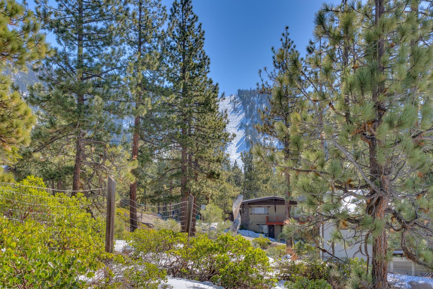 3770 Terrace Drive