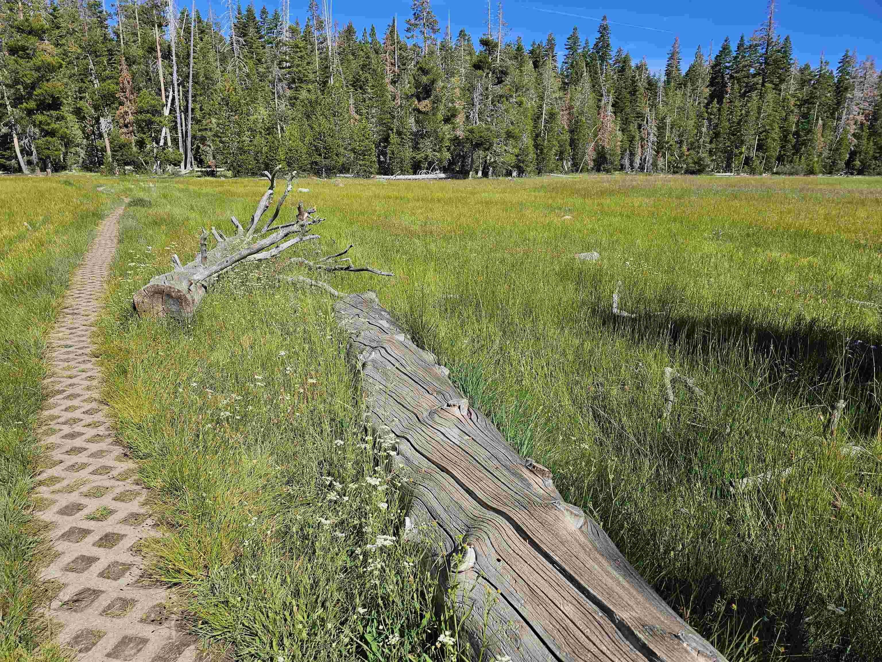 1003 SnowShoe Road