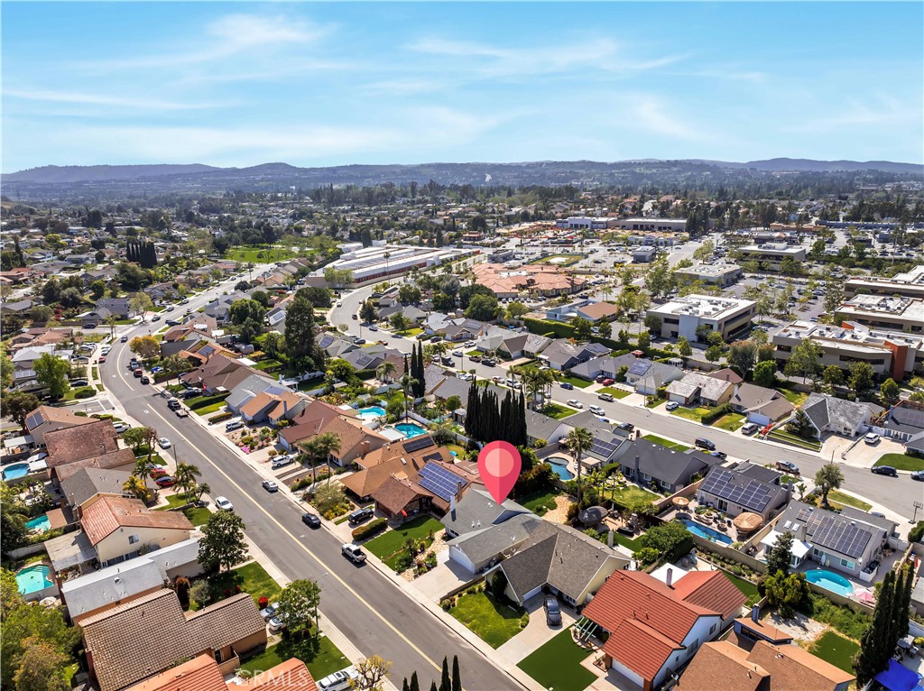 25401 Costeau Street