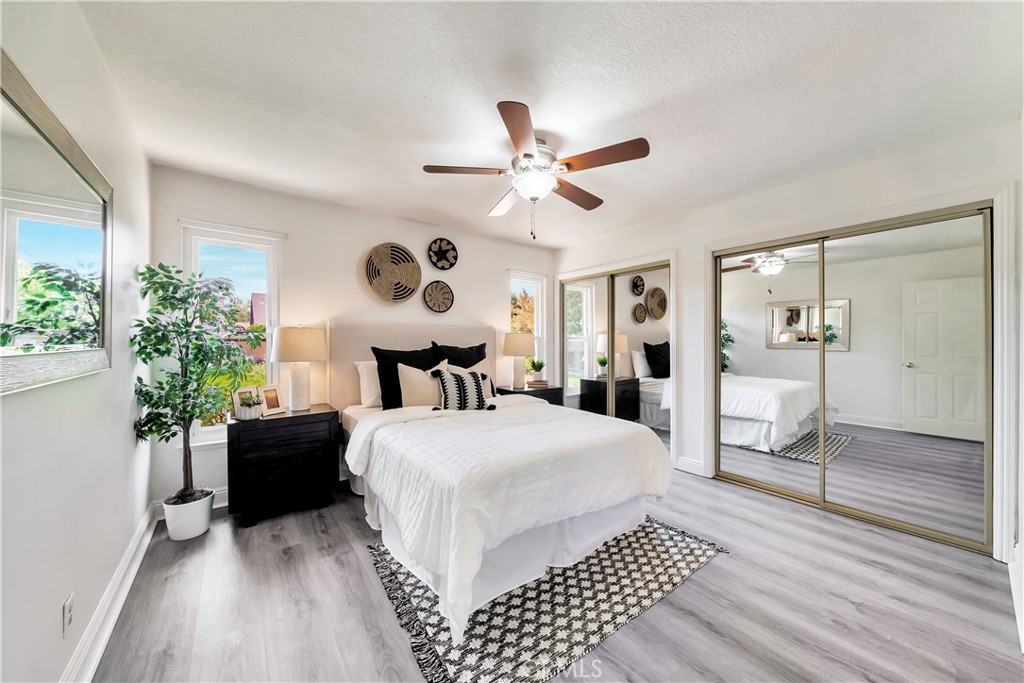 25401 Costeau Street