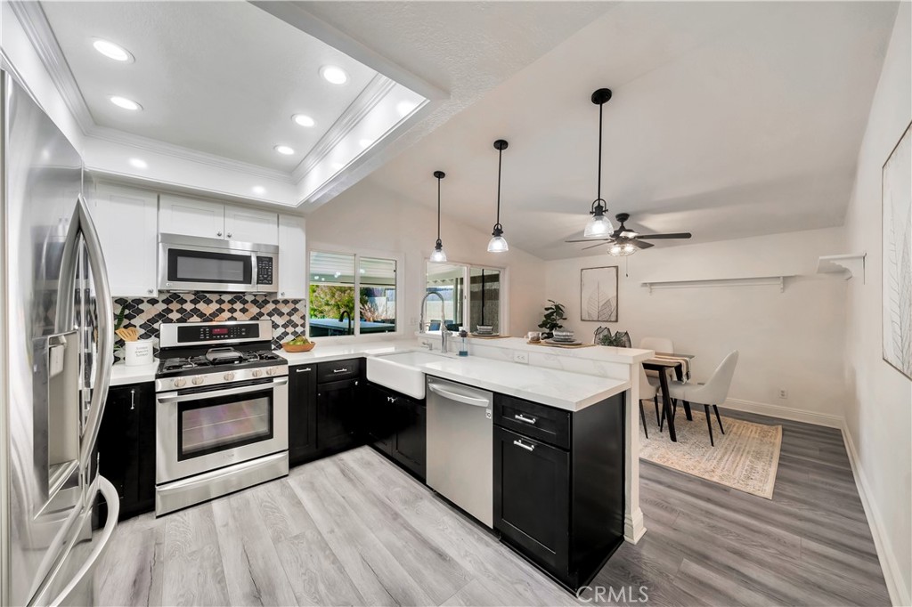 25401 Costeau Street