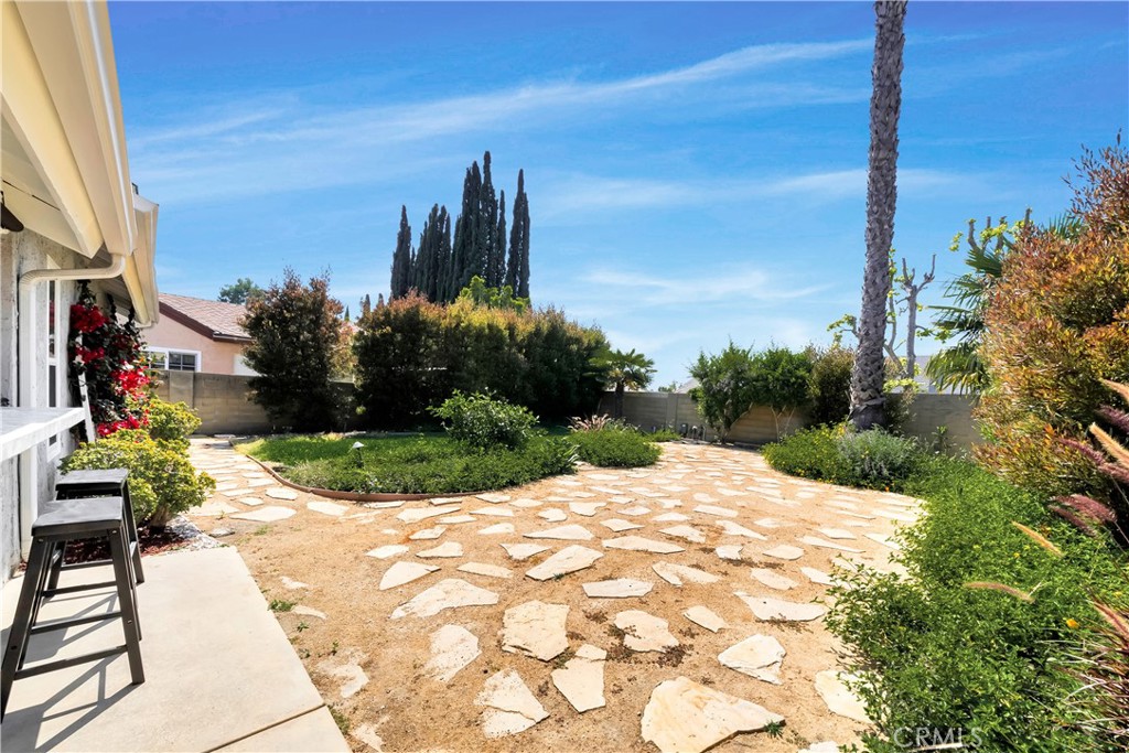 25401 Costeau Street