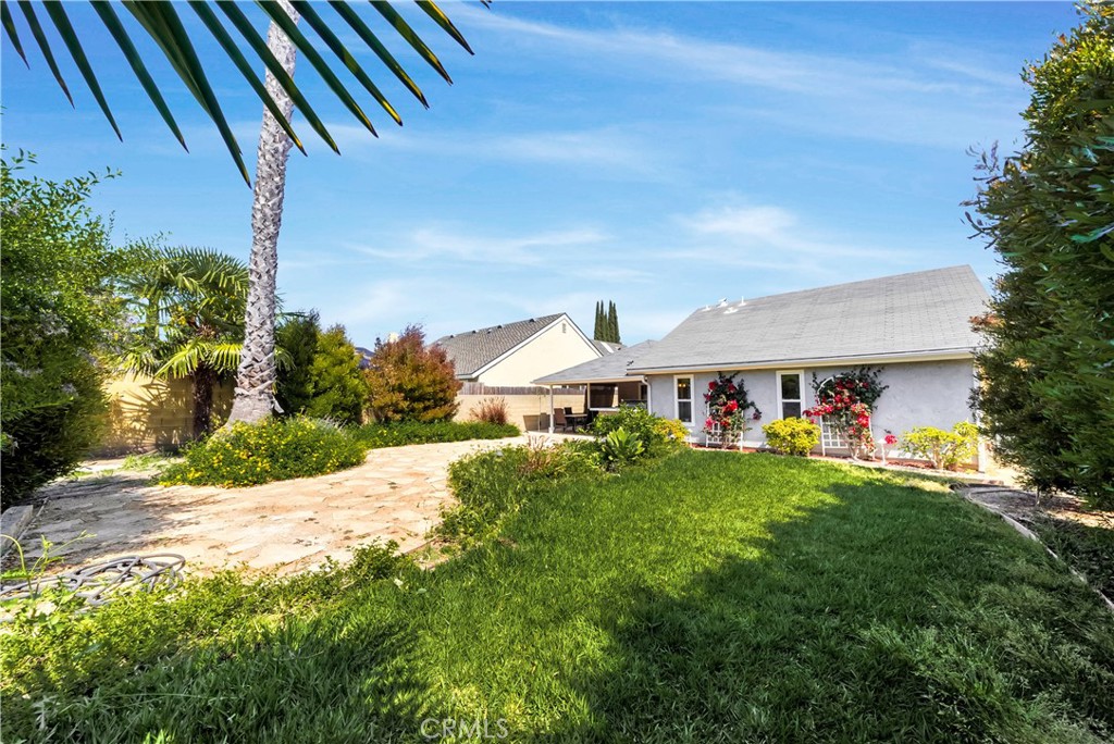 25401 Costeau Street