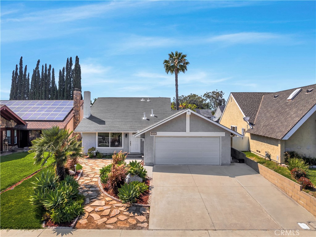 25401 Costeau Street