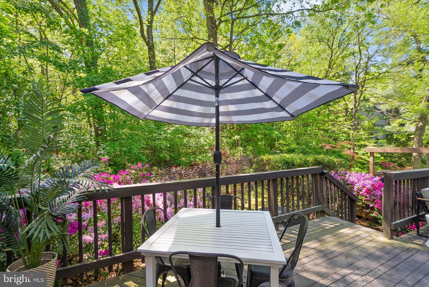 1535 Park Glen Ct