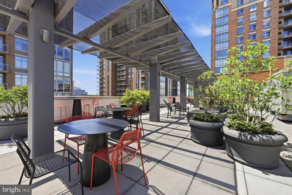 12025 NEW DOMINION PARKWAY Unit: 313