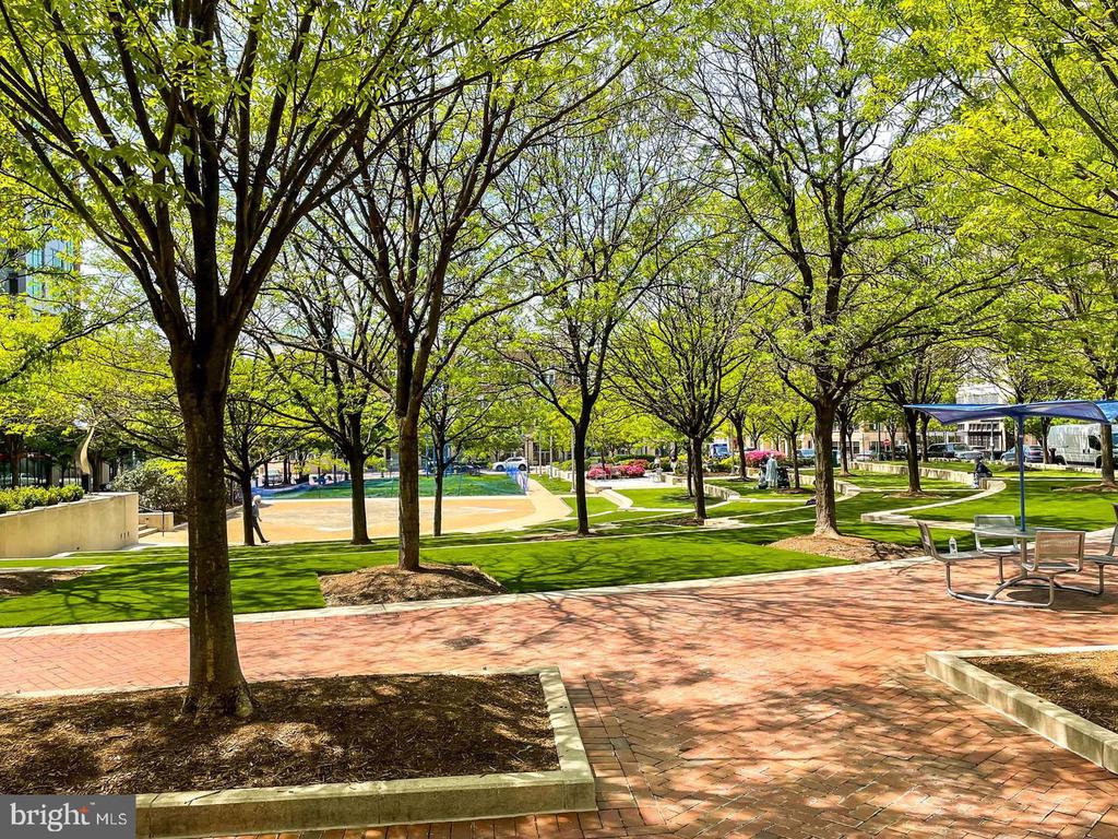 12025 NEW DOMINION PARKWAY Unit: 313