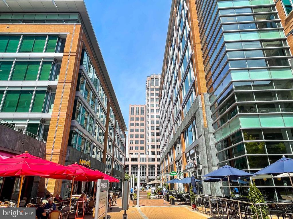 12025 NEW DOMINION PARKWAY Unit: 313