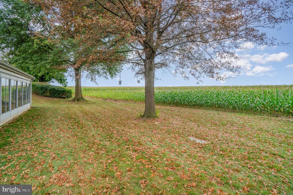 2234 Wexford Rd