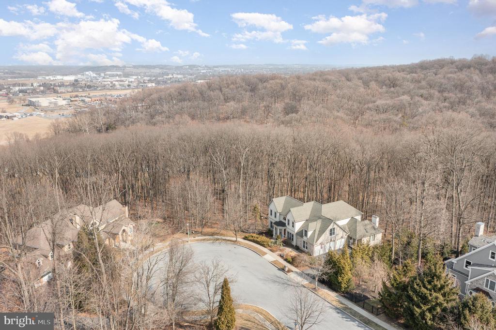 479 English Ivy Ct