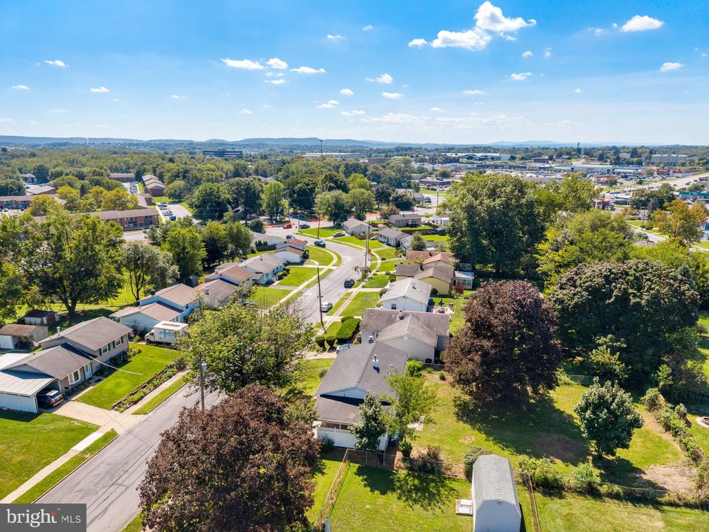 1010 COLLINGSWOOD