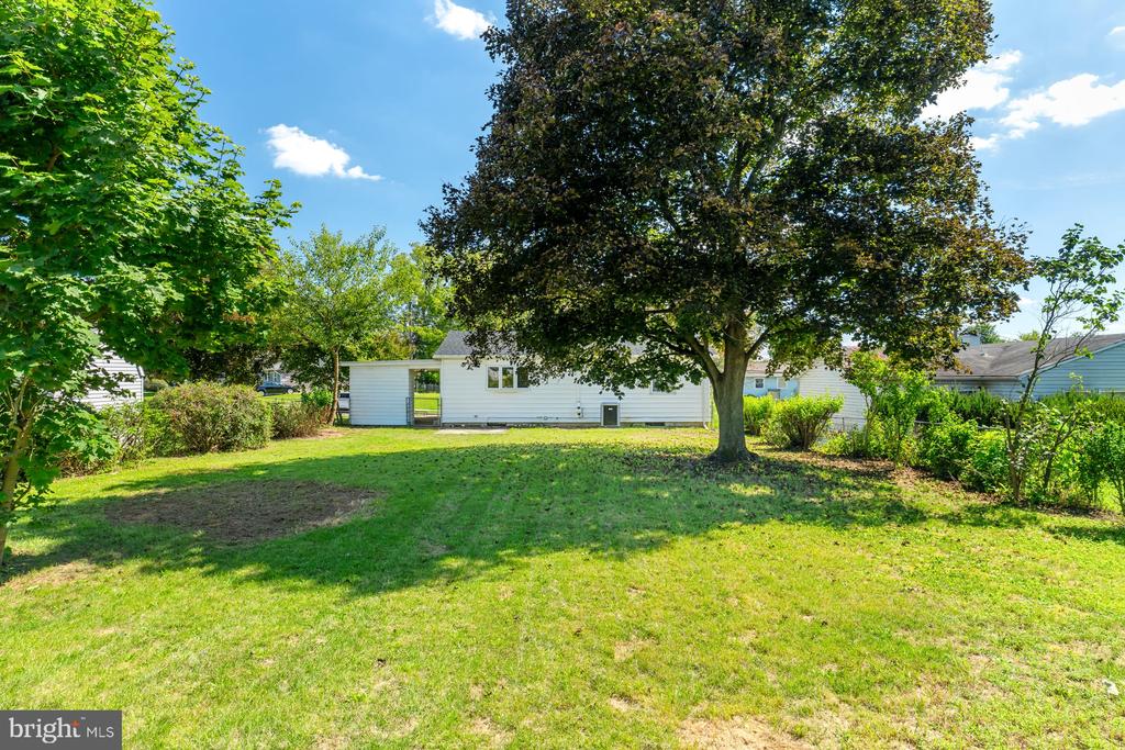 1010 COLLINGSWOOD